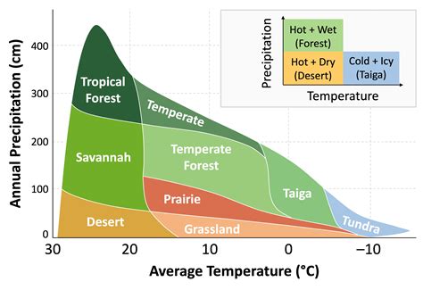 Terrestrial Biomes Chart