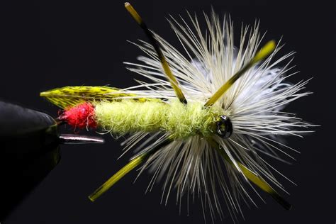 Terrestrial Fly Patterns