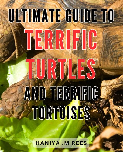 Terrific Turtles and Tortoises