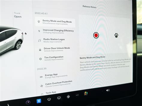 Tesla Software Update Today