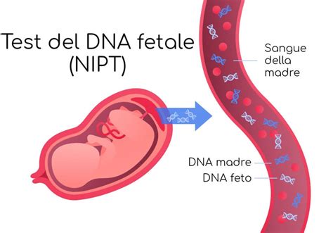 TEST DEL DNA FETALE. RENDIAMOLO GRATUITO ANCHE IN PIEMONTE PD Piemonte