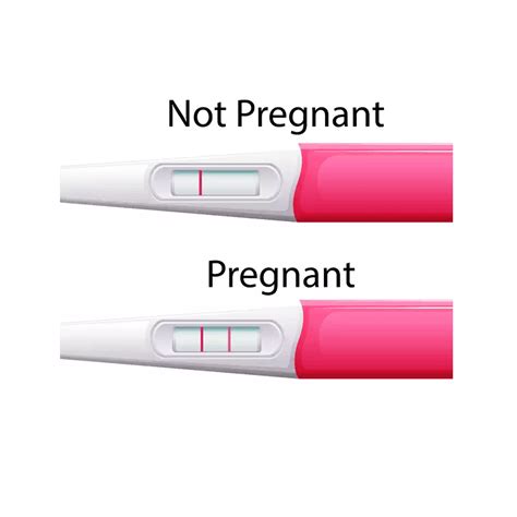 Test Pregnant