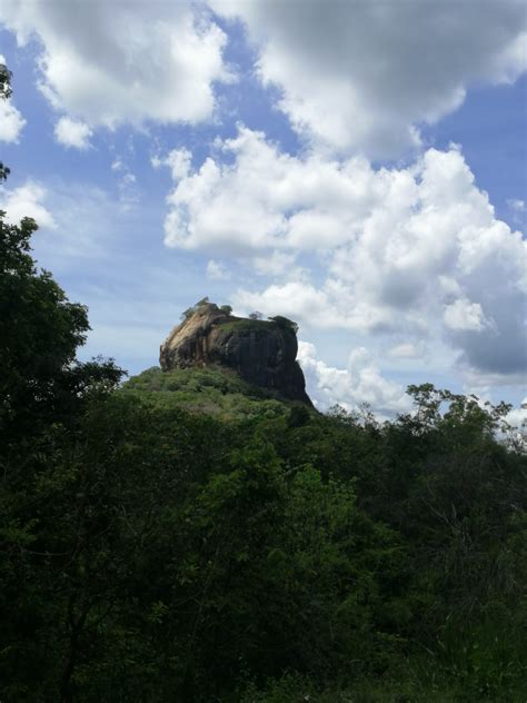 Testimonials about tours