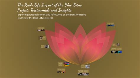 Testimonials and Real-World Impact of Project Power