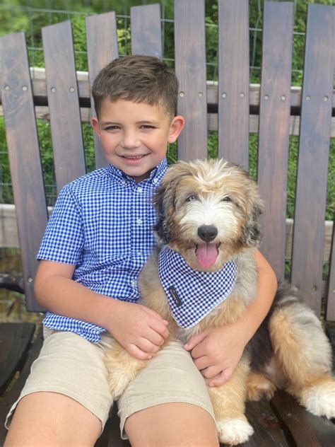 Testimonials for Pets