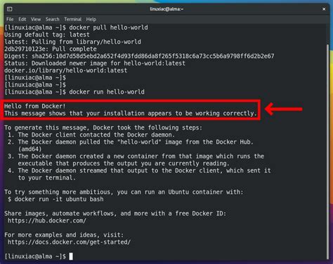 Test Docker Installation