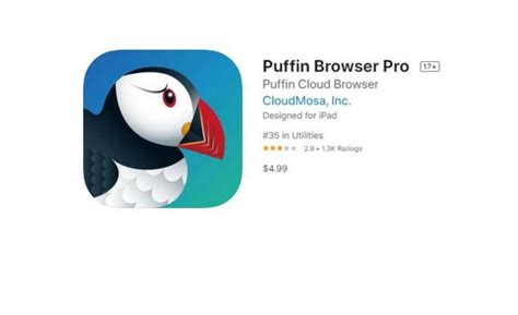 Testing Puffin Web Browser