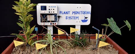 Testing and Monitoring Your Plants