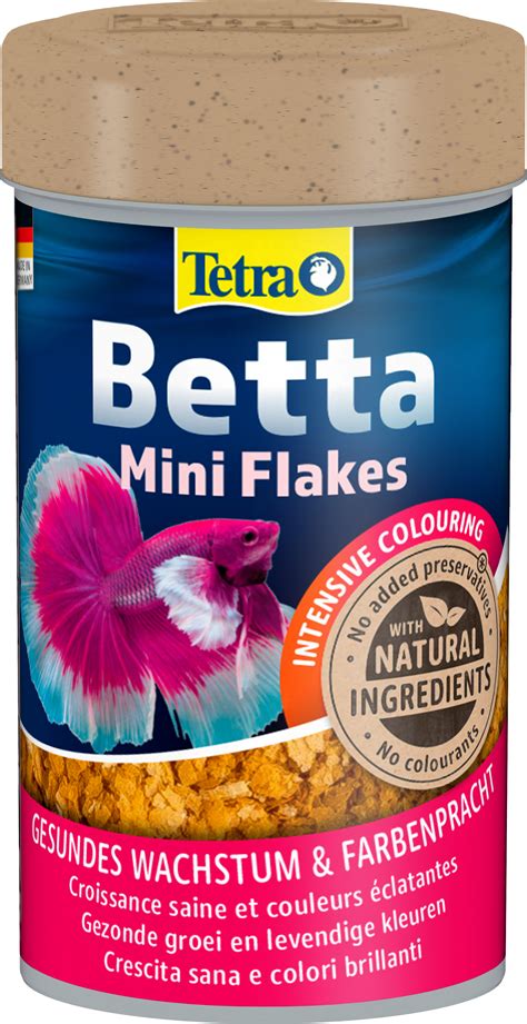 Tetra And Betta