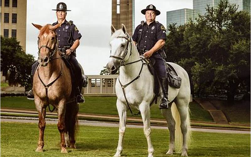 Texas Tech Police Horse