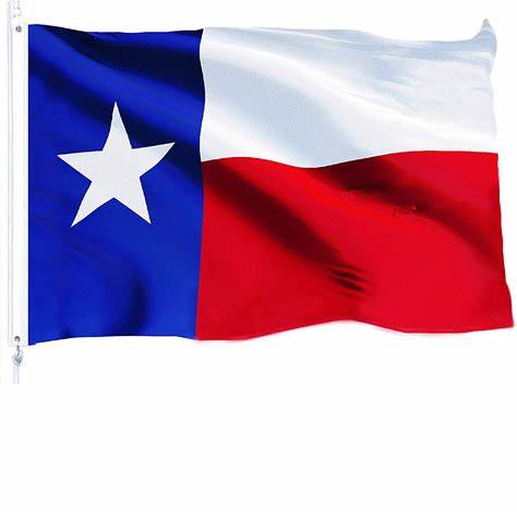 Texas State Flag in Interior Design