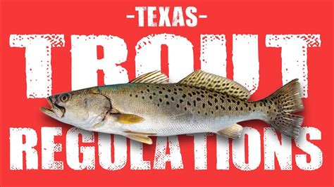 Texas fishing special rules