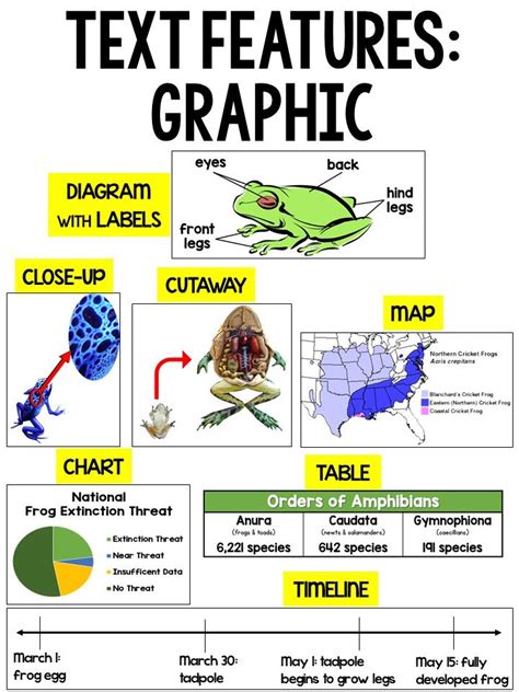 Text Features Anchor Chart Printable