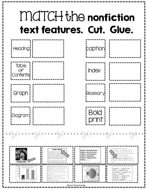 Text Features Worksheet 1st Grade