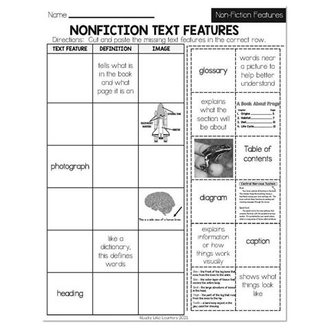 Text Features Worksheet 2Nd Grade — db-excel.com