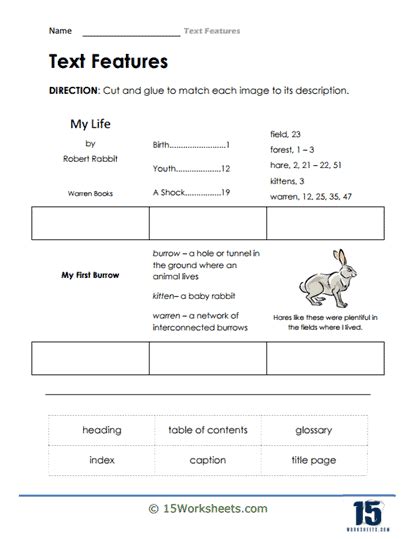 Text Features Worksheet 4th Grade | Text features, Text features