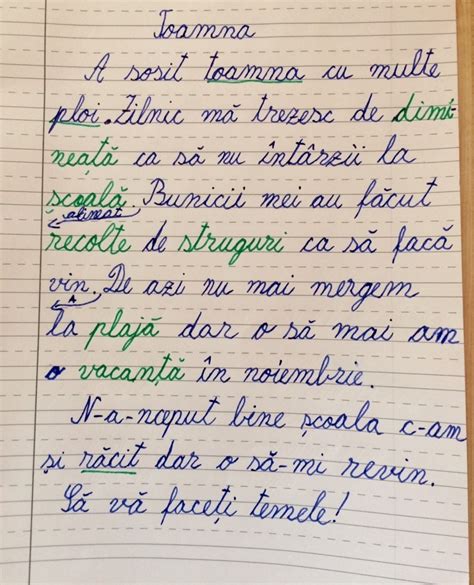 Texte Cu Tema Scoala