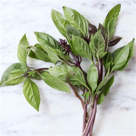 Thai Basil