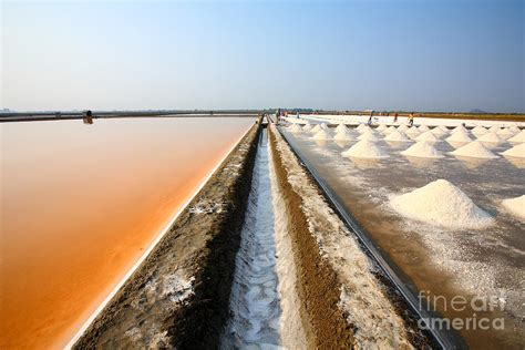 Thailand Salt Fields