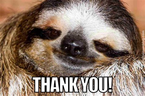 Thank You Meme Weird