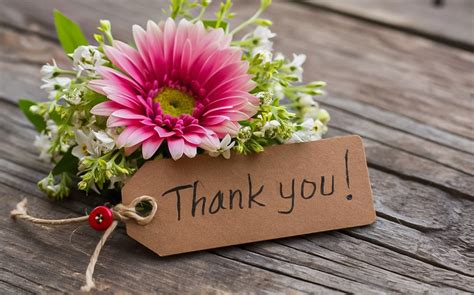 Thank You Note Examples