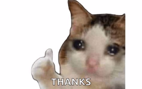 Thank You Reaction Meme