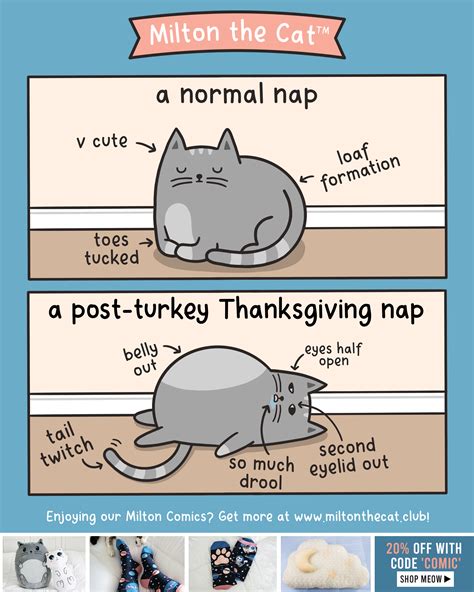Thanksgiving Kitten Meme