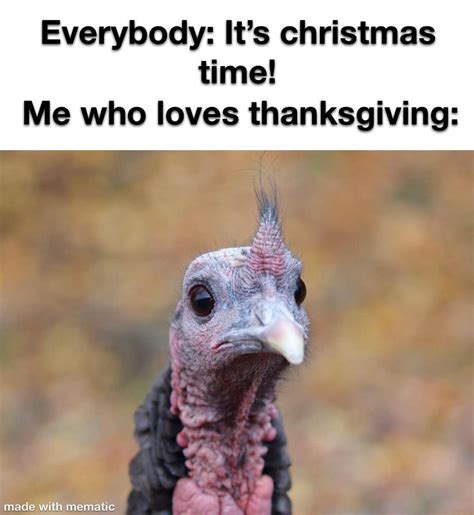 Thanksgiving Me Meme