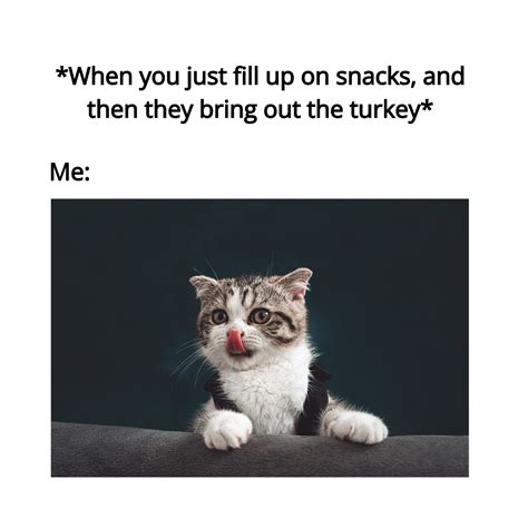 Thanksgiving Meme Chain Text