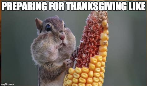 Thanksgiving Meme Cute
