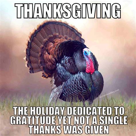 Thanksgiving Meme Pics