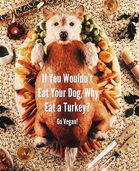 Thanksgiving Meme Vegan