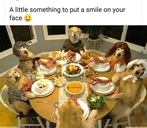 Thanksgiving Meme With Dogs