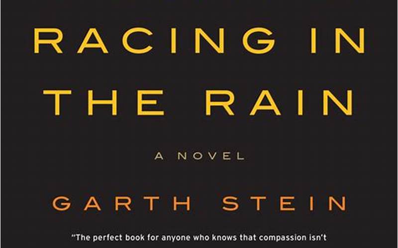 The Art Of Racing In The Rain Book