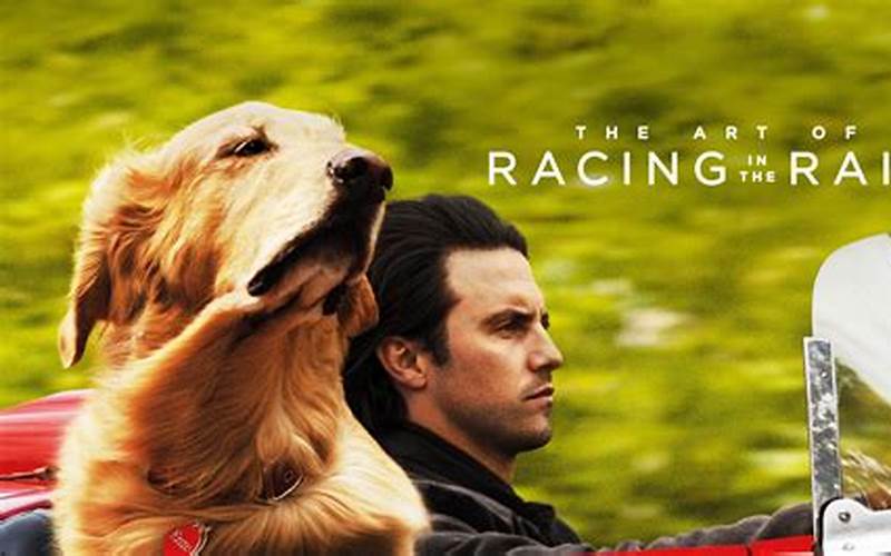 The Art Of Racing In The Rain Dog And Owner