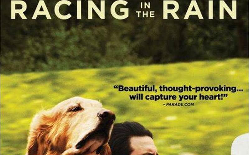 The Art Of Racing In The Rain Dvd Where To Buy