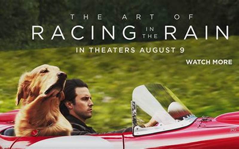 The Art Of Racing In The Rain Language Usage