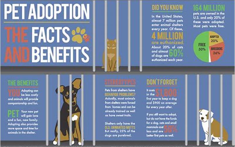 The Benefits Of Adopting A Pet From A Shelter