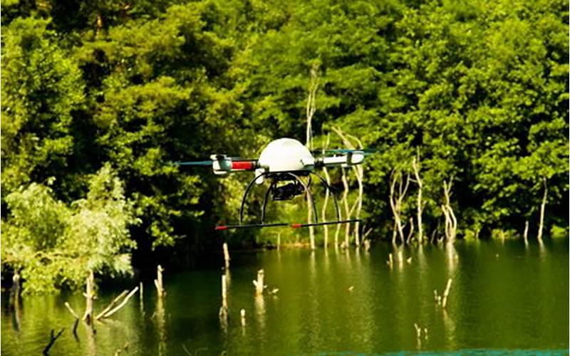 The Benefits Of Drones In Environmental Research