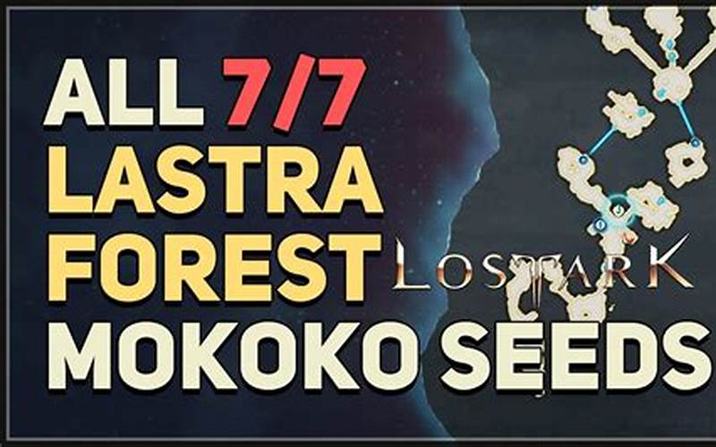 The Benefits Of Lastra Forest Mokoko Seeds