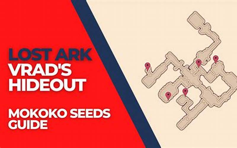 The Benefits Of Mokoko Seeds