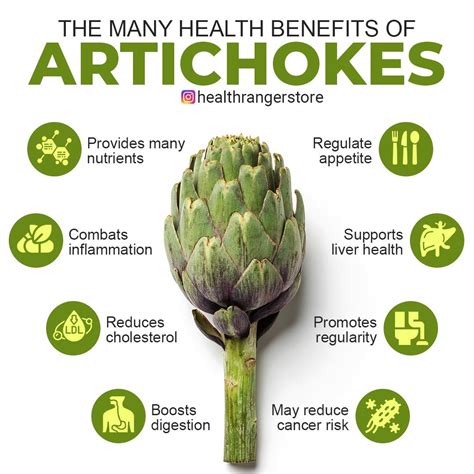 The Benefits of Artichokes