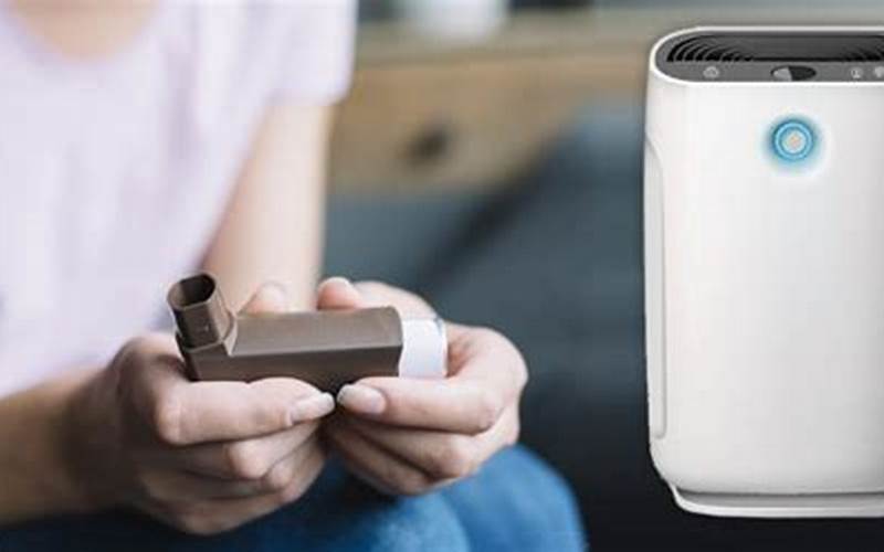 The Best Air Purifiers For Allergies And Asthma – Keep Your Home Safe