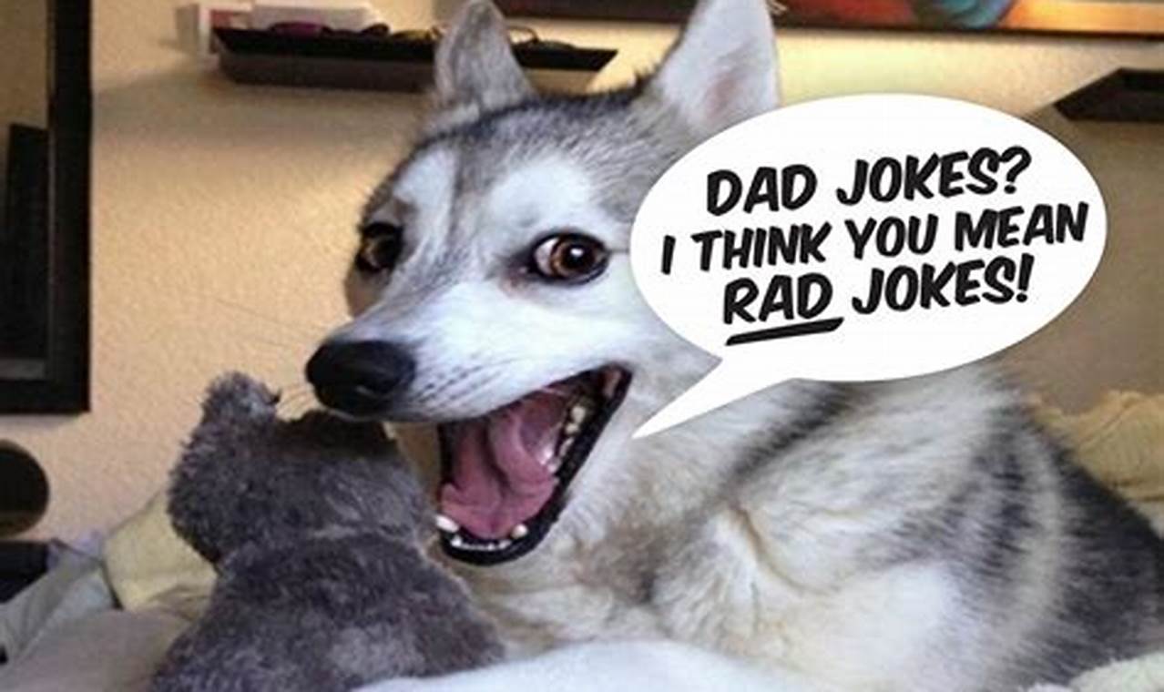 The Best Dad Jokes Of 2024