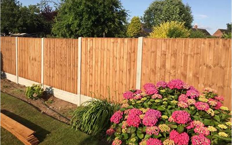 The Best Paint For Privacy Fence: Keep Your Outdoor Space Private And Beautiful!