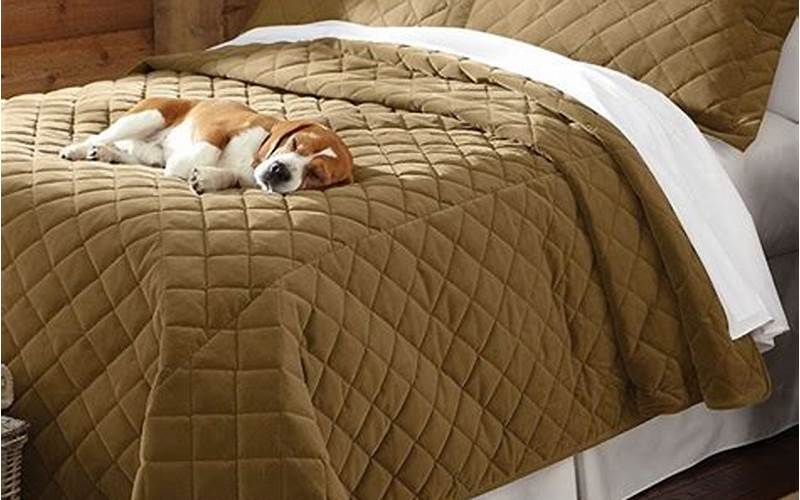The Best Pet-Friendly Bedding For Your Home