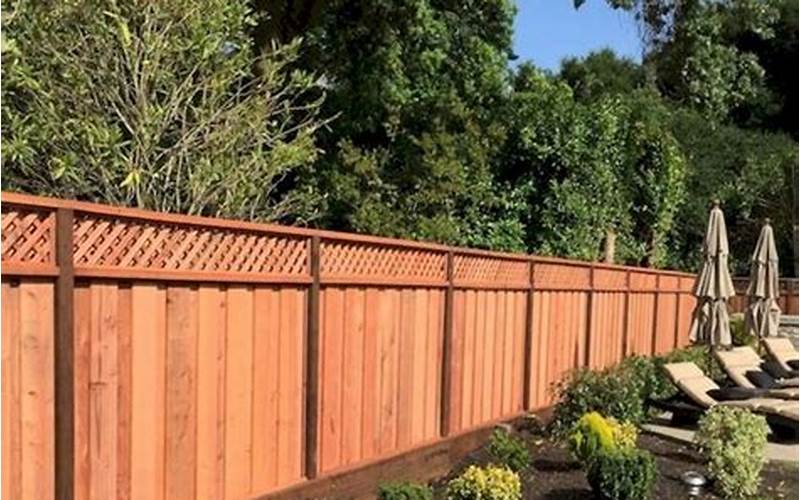 The Best Tree For Fence Privacy: Creating An Oasis In Your Own Backyard