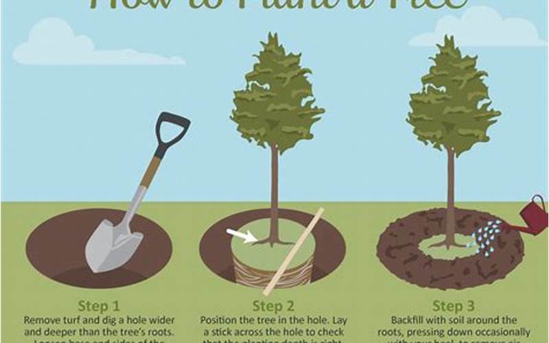 The Bottom Line On Planting Trees