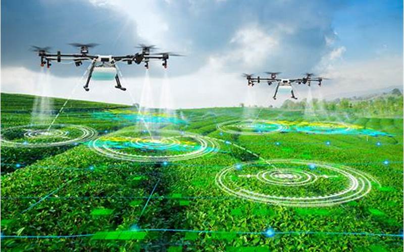 The Challenges Of Using Drones In Environmental Research