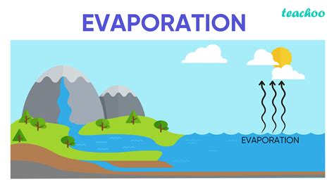 The Evaporation Process